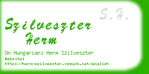 szilveszter herm business card